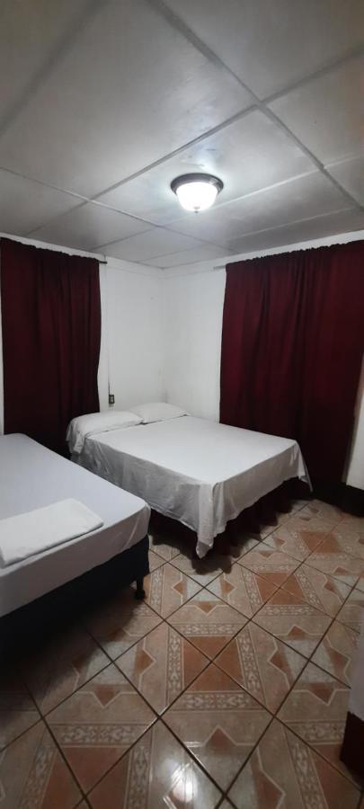 Tropical Dreams Hostel South End Esterno foto