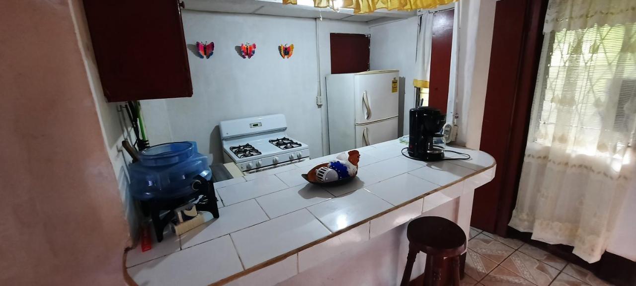 Tropical Dreams Hostel South End Esterno foto